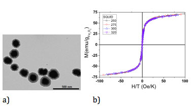 unse Quagmire Skøn 2) Nanoparticles and Magnetic Nanostructures - Nanomag